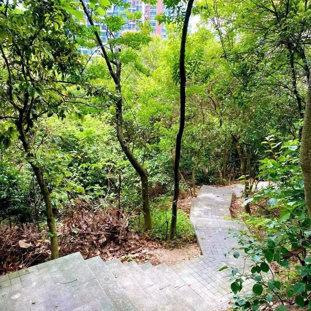 深圳地铁16号线游玩攻略路线,深圳地铁五号线沿线游玩地方