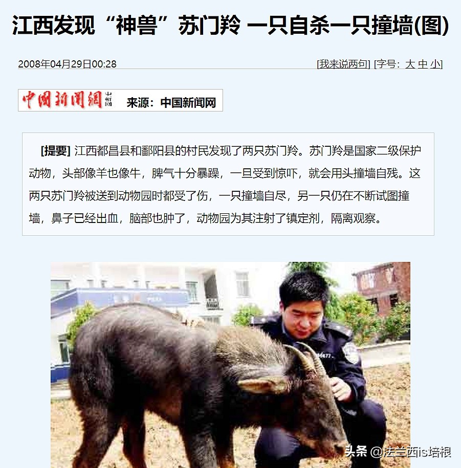 罕见的天马,罕见动物神兽