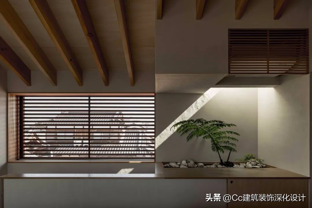 瀹ゅ唴缁挎鏅瑙嗛,瀹ゅ唴鍦伴潰缁挎鏅