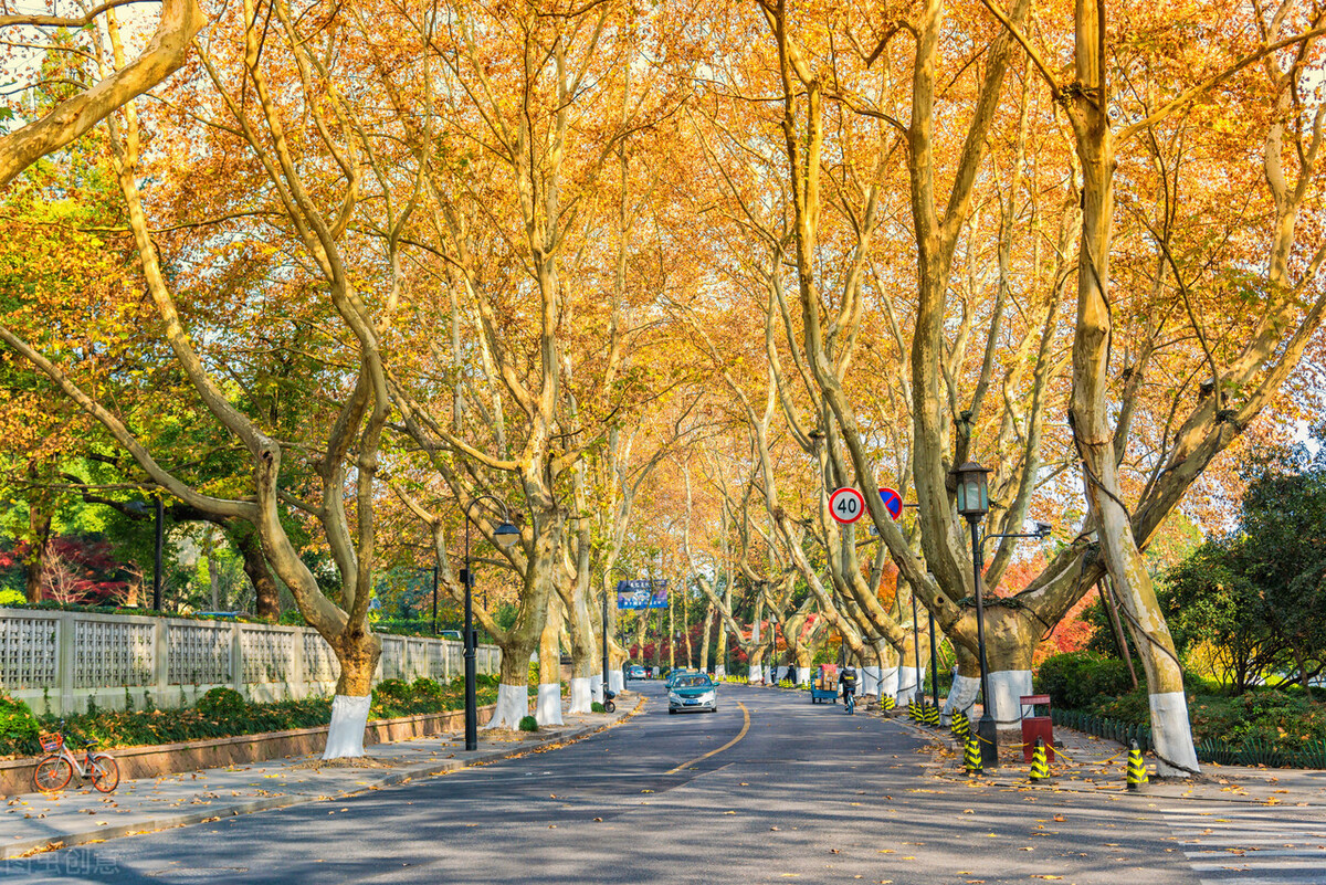 打卡杭州10个风景绝佳的赏秋地,杭州秋天最值得玩的地方