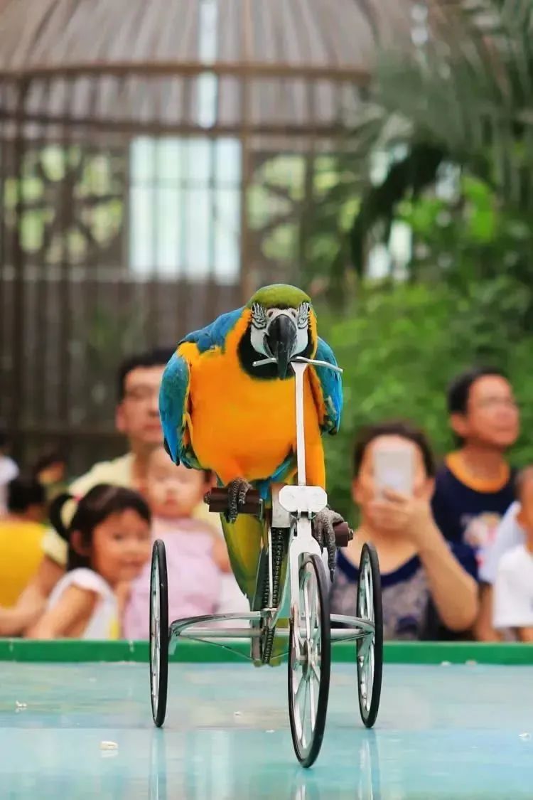 【FENG娱】王佐镇:娱乐+科普+自然,暑假解锁亲子出游新方式!