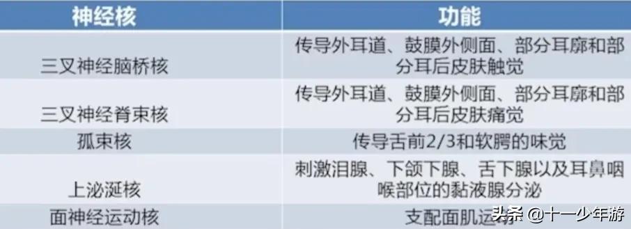 面瘫那边的脸一按就疼是咋回事,面瘫那边脸变小是怎么回事