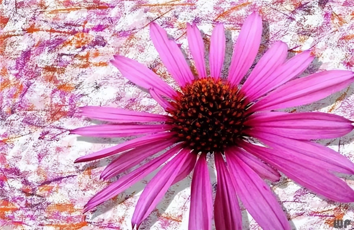 追梦文案短句干净治愈,激励自己努力拼搏的文案