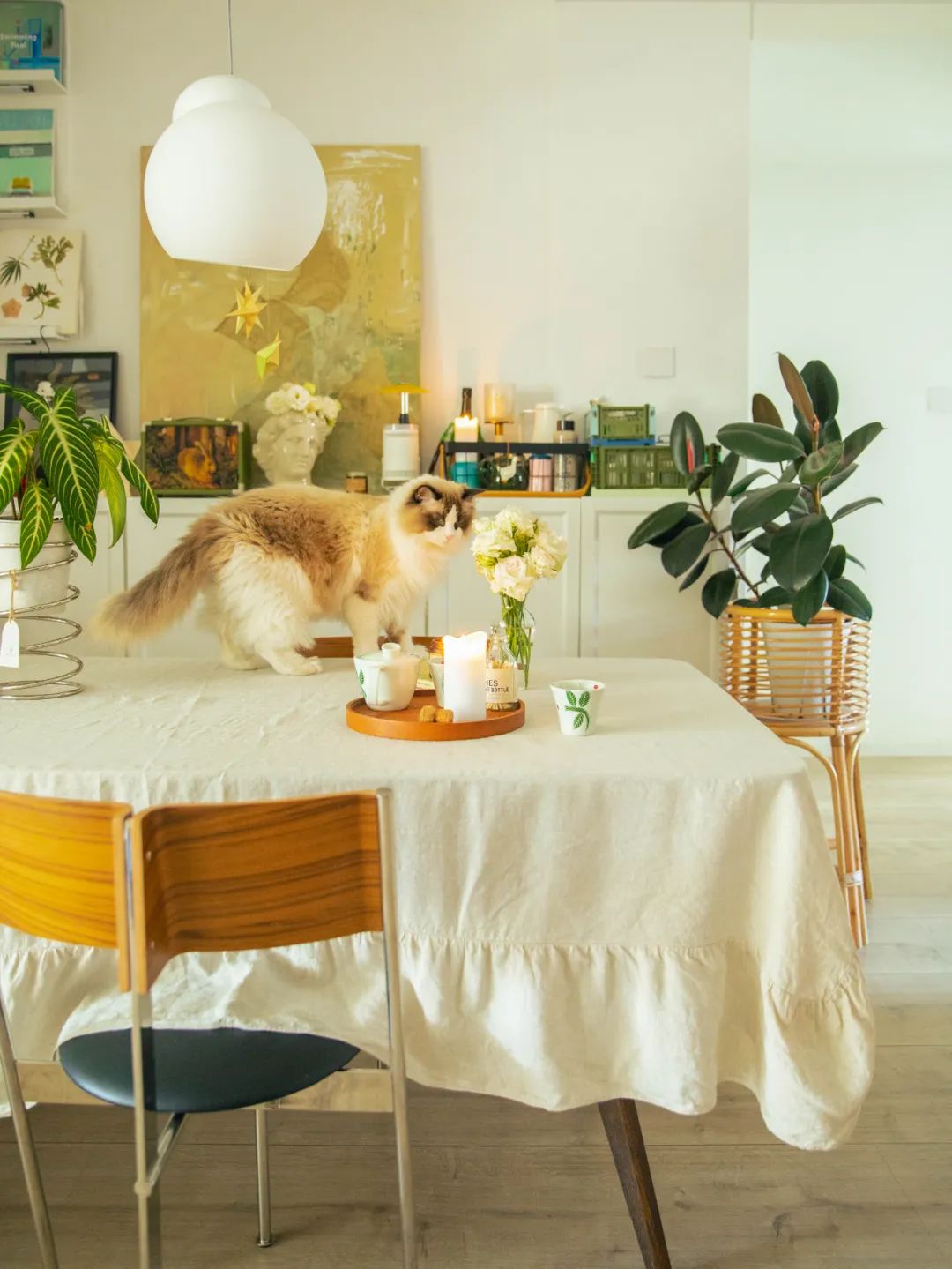 90后妈妈花3年时间,在北京打造室内“小森林”,满屋绿意