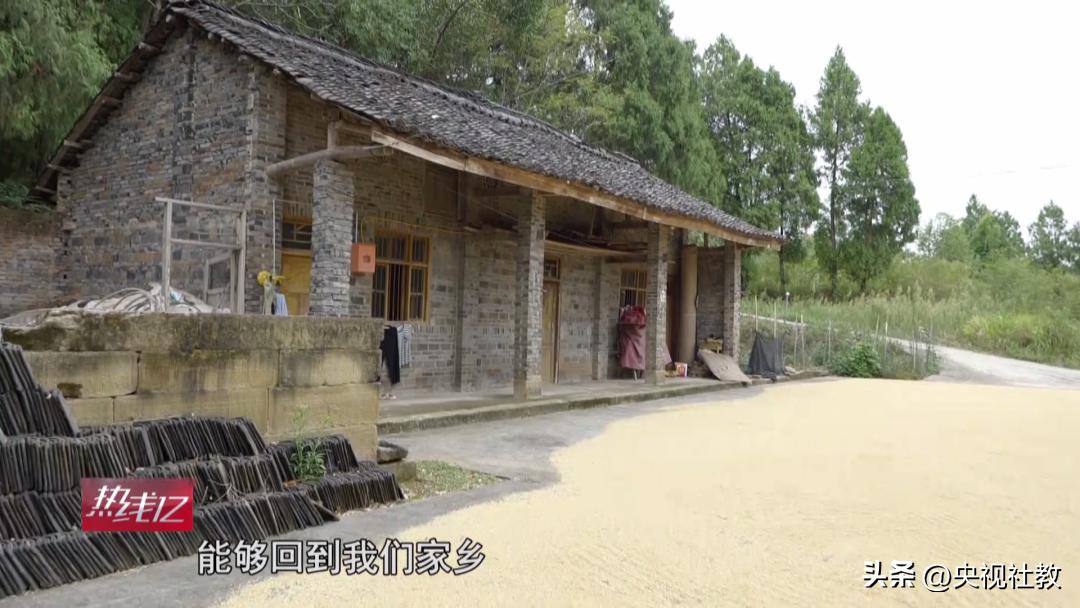 《善行中国2022》丨此处无花胜有花：村里第一位大学生放弃城市工作返乡创业，带领村民种植无花果致富