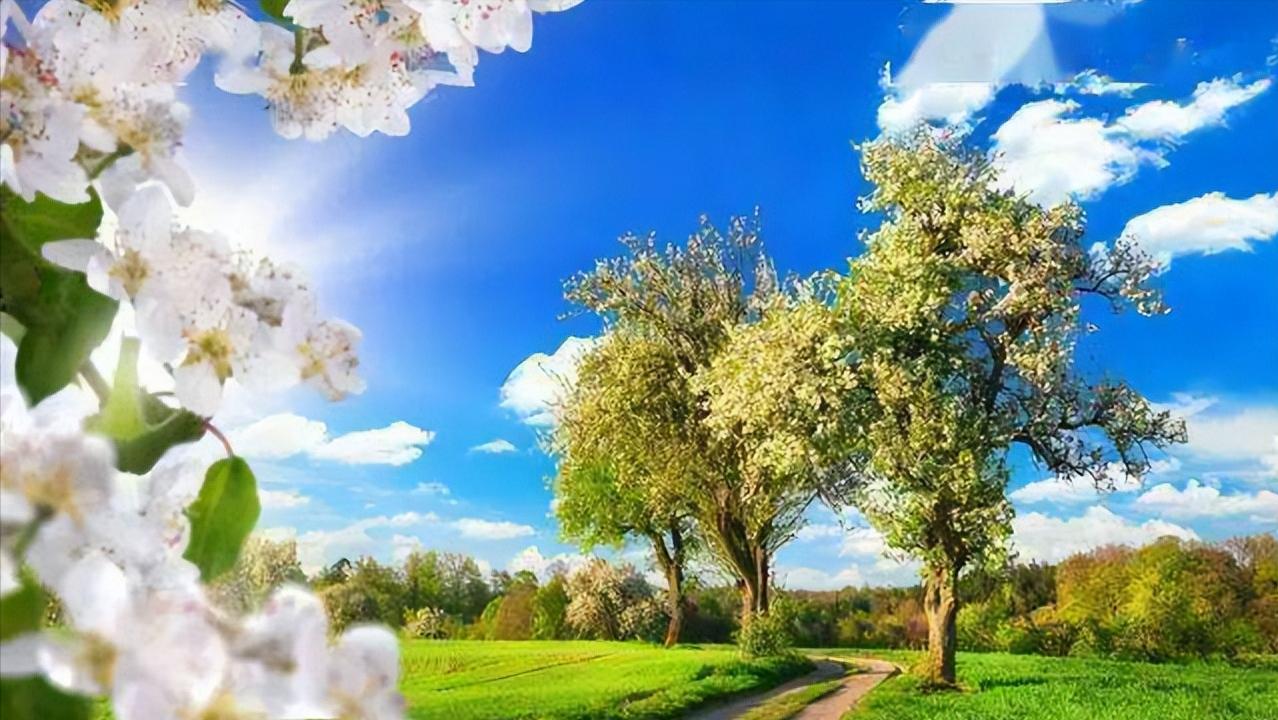 面对瞧不起你的人，最好的反击是这样的