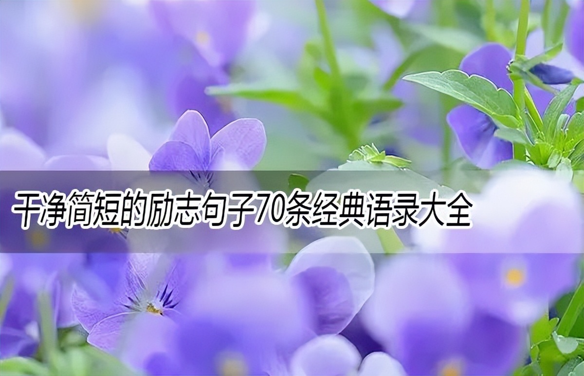 励志文案简短干净长篇,励志简短干净的签名短句