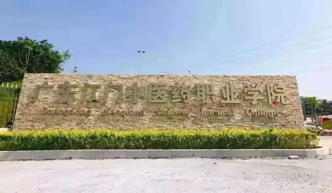 广东专科线各专业最低投档线,广东热门专业录取分数线2023