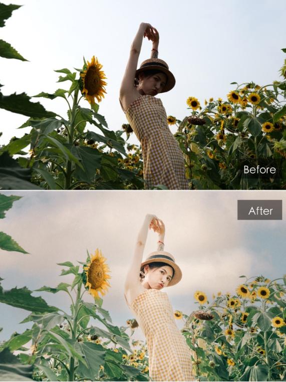 向日葵人像摄影后期技巧,拍向日葵人像参数设置