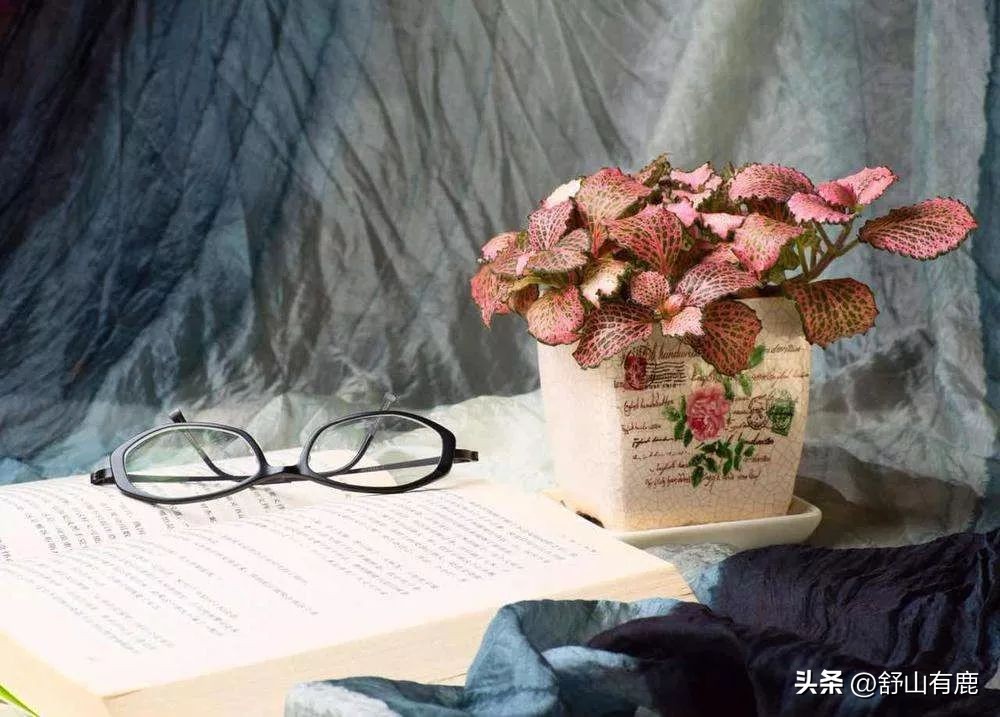 命犯小人如何应对小人,命里有小人犯什么意思