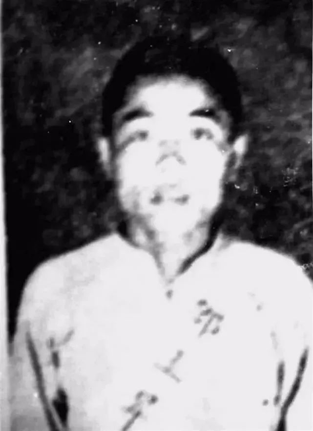 英勇无畏、舍生忘死，“抗日放火团”斗士邹立升