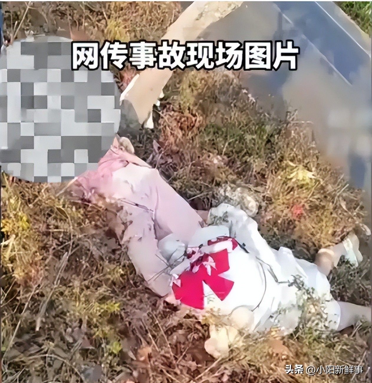 女生骑摩托车撞树身亡,女子骑摩托车超车撞栏杆身亡