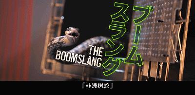 真刺激！年度最爽R级血浆片，尺度大到生理不适