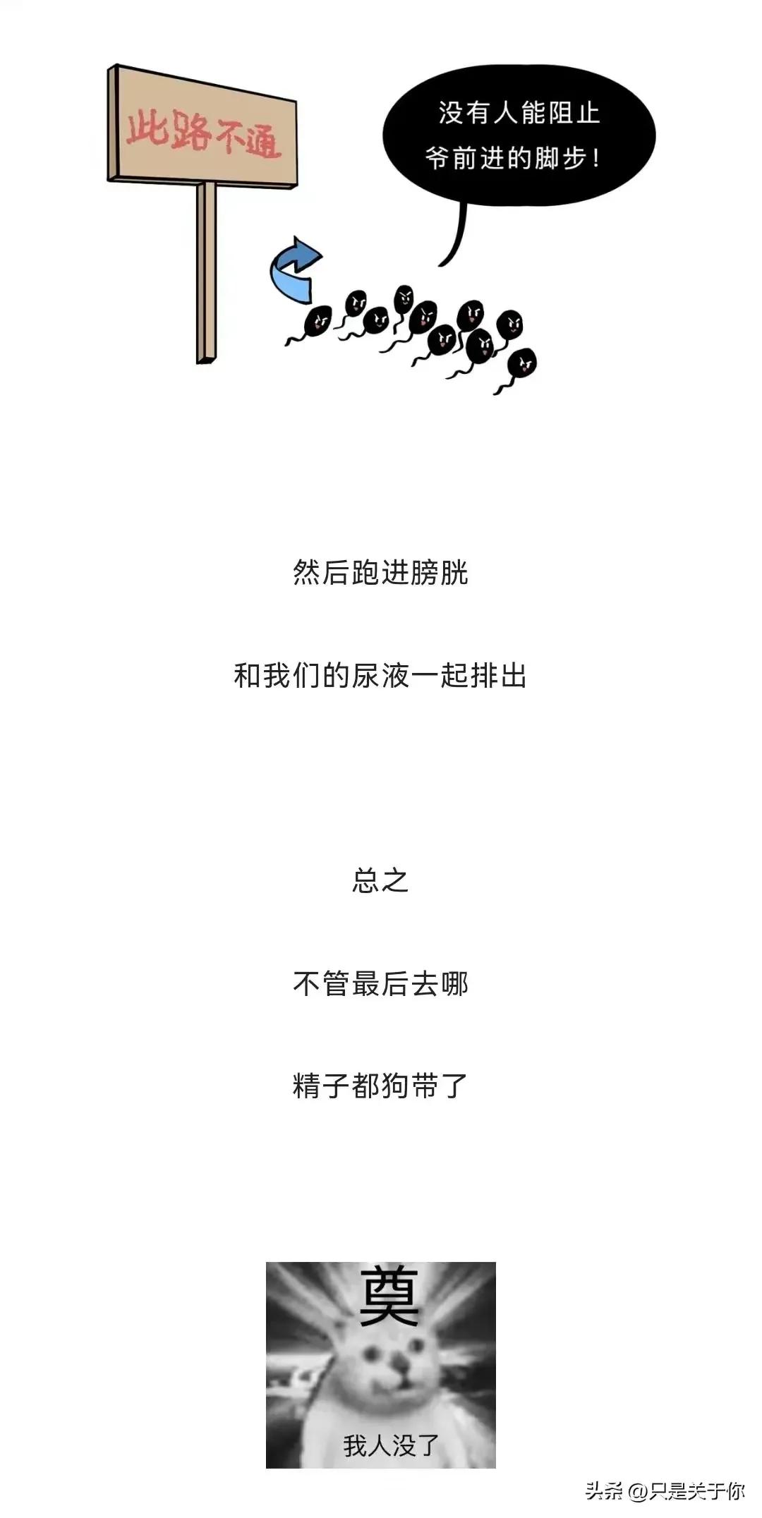 憋了10天的精子质量还好吗,憋了半个月的精子质量如何