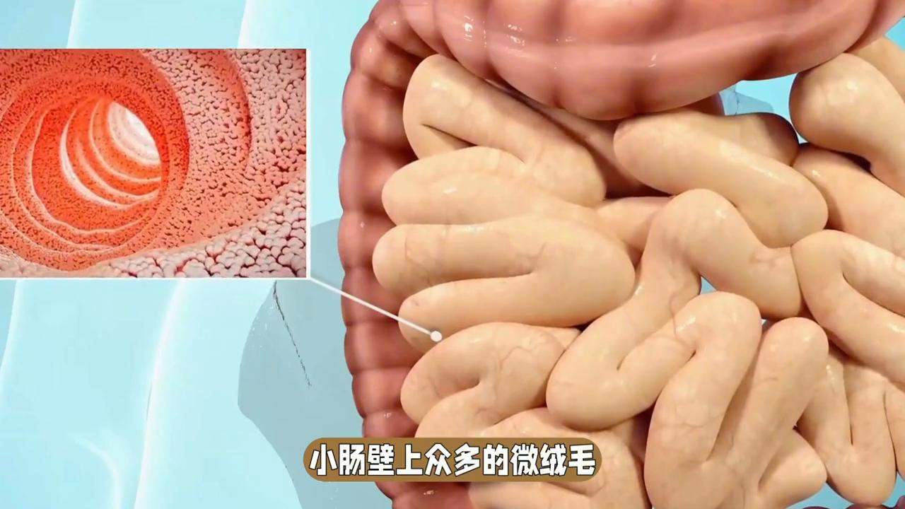 拉肚子肚子痛最简单止痛方法,为啥拉肚子肚子也不痛