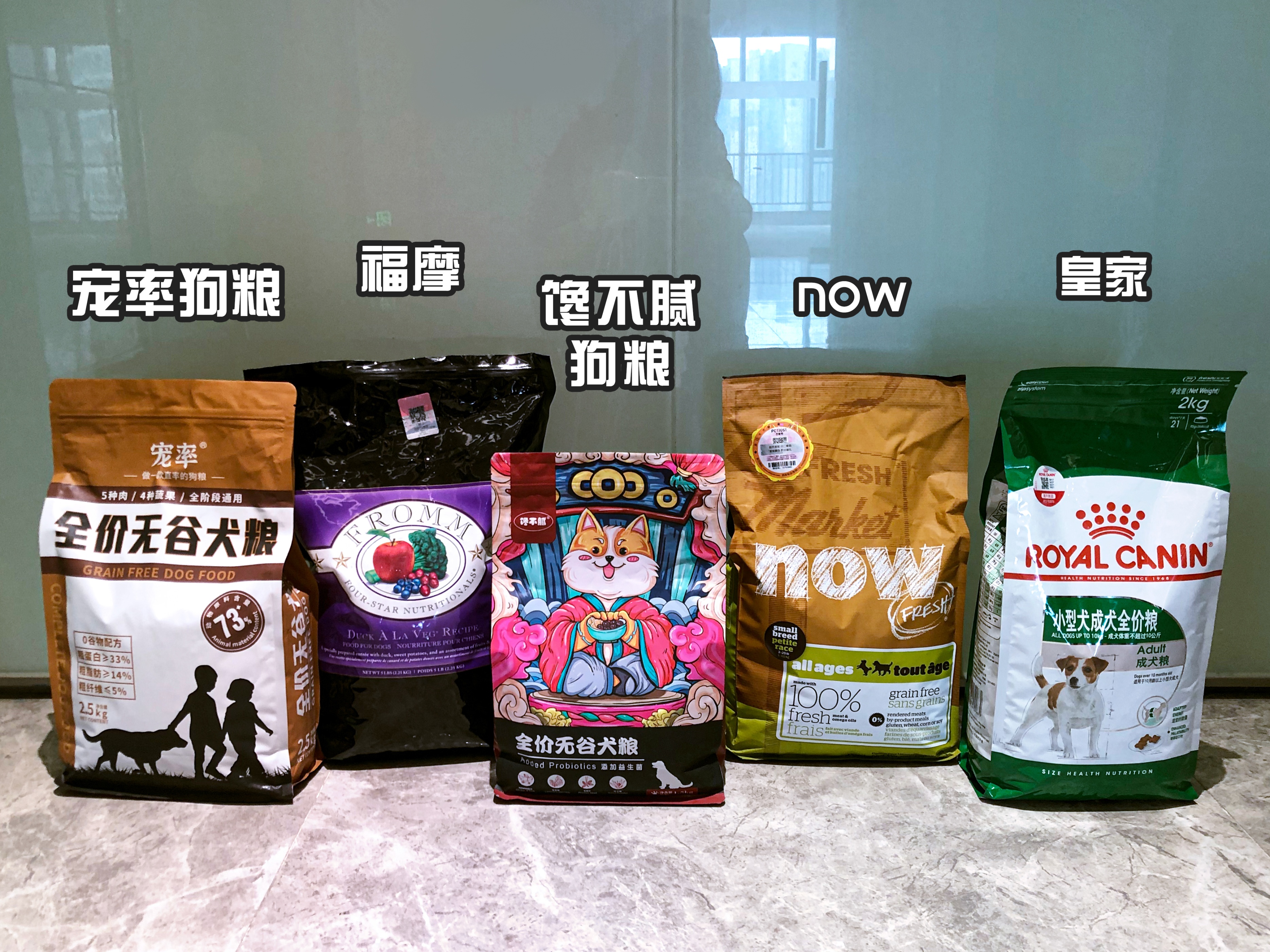 挑选温顺的土狗,性格温顺的短腿土狗是什么品种