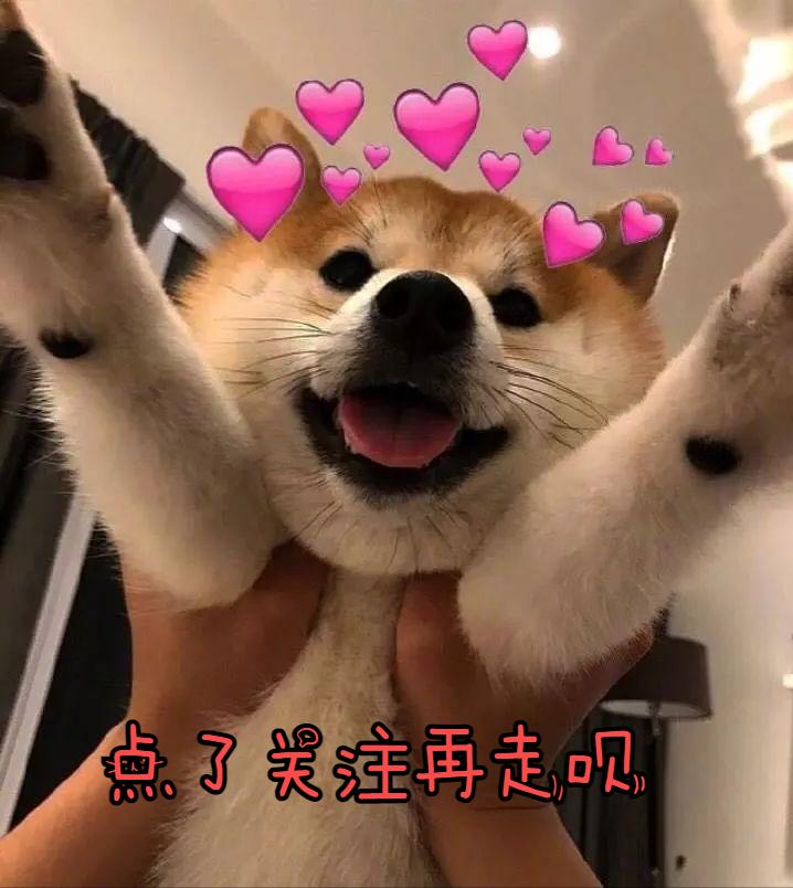 大型犬真的让人很有安全感,建议女生养的大型犬有安全感