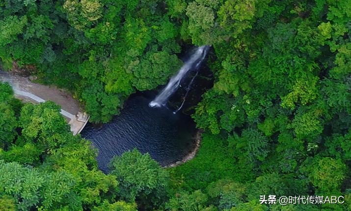 武都土特产有哪些,平武大山深处