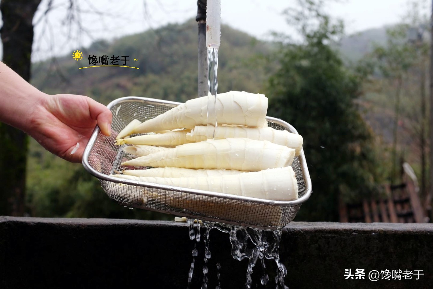 春笋几月份能买到,春笋应该买哪一种