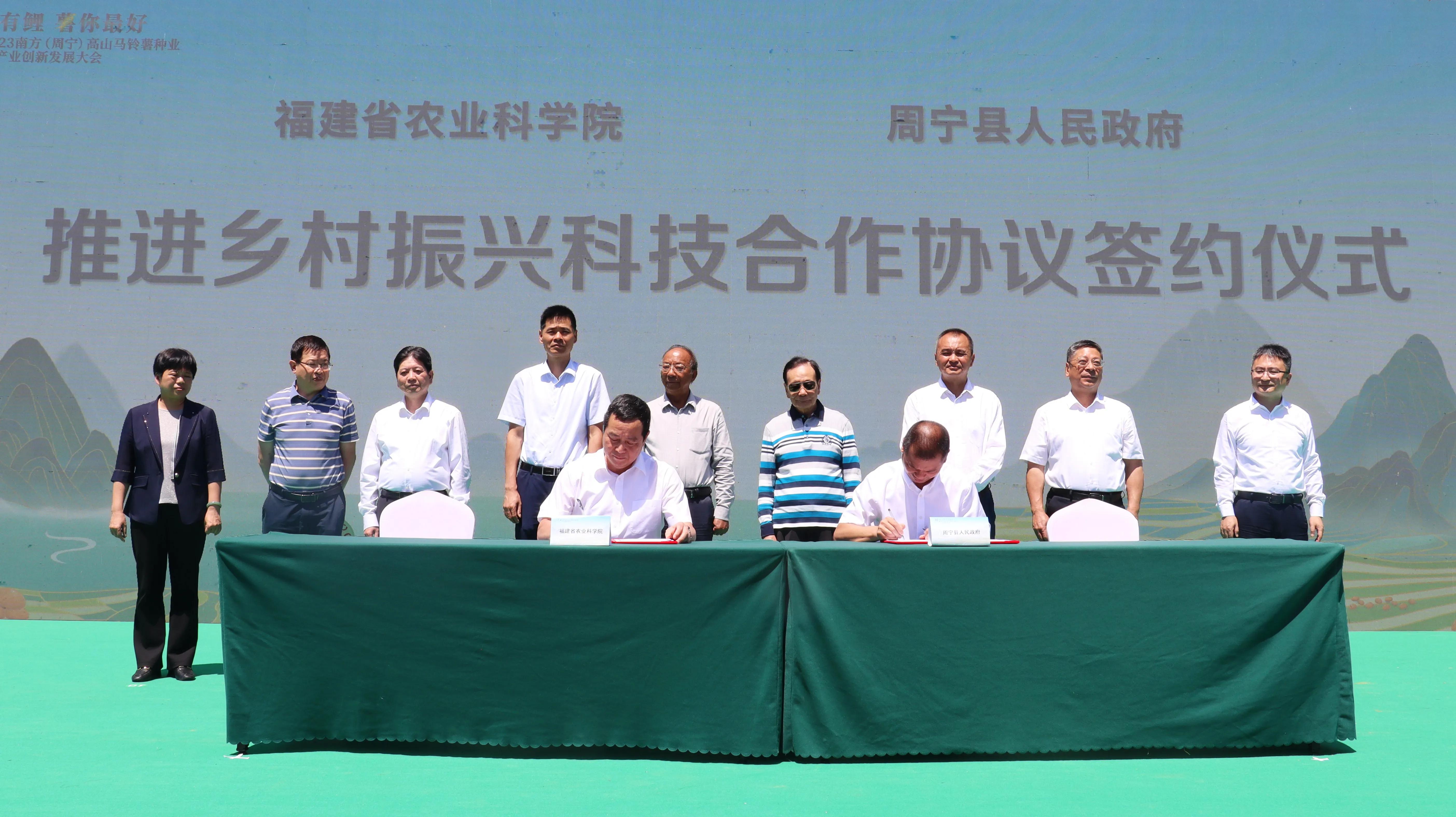 乡村振兴浮山小土豆,乡约乡村振兴