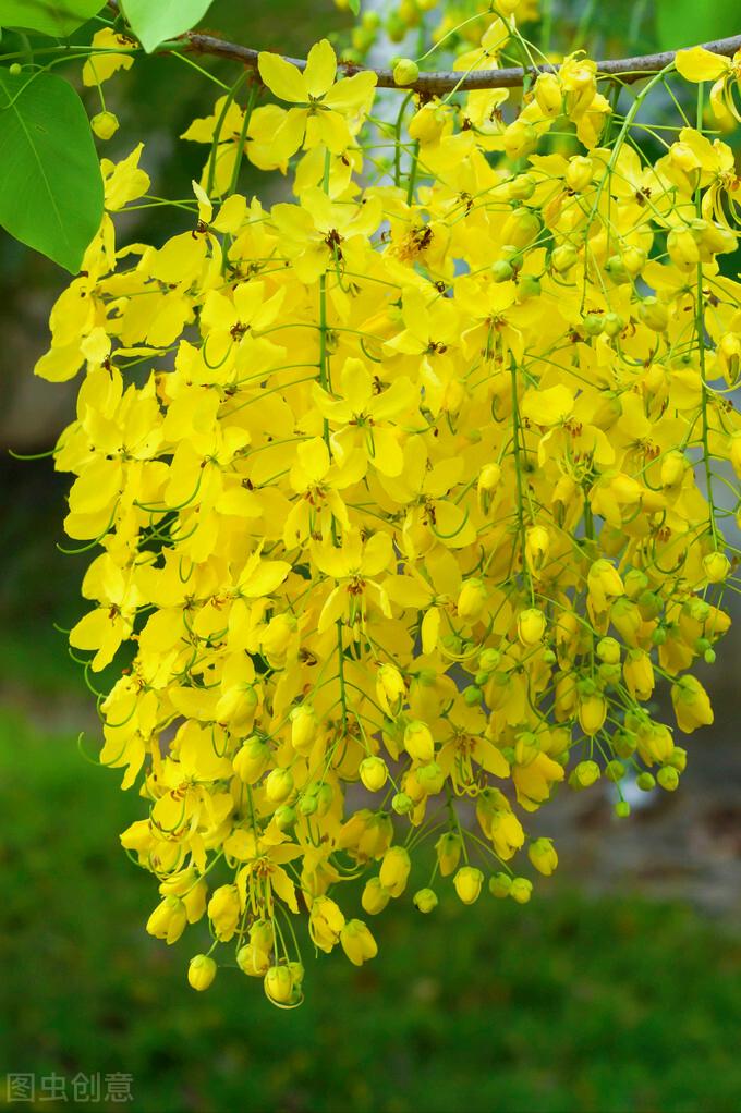 感恩母亲节祝自己节日快乐,母亲节感恩祝福词妈妈我爱你
