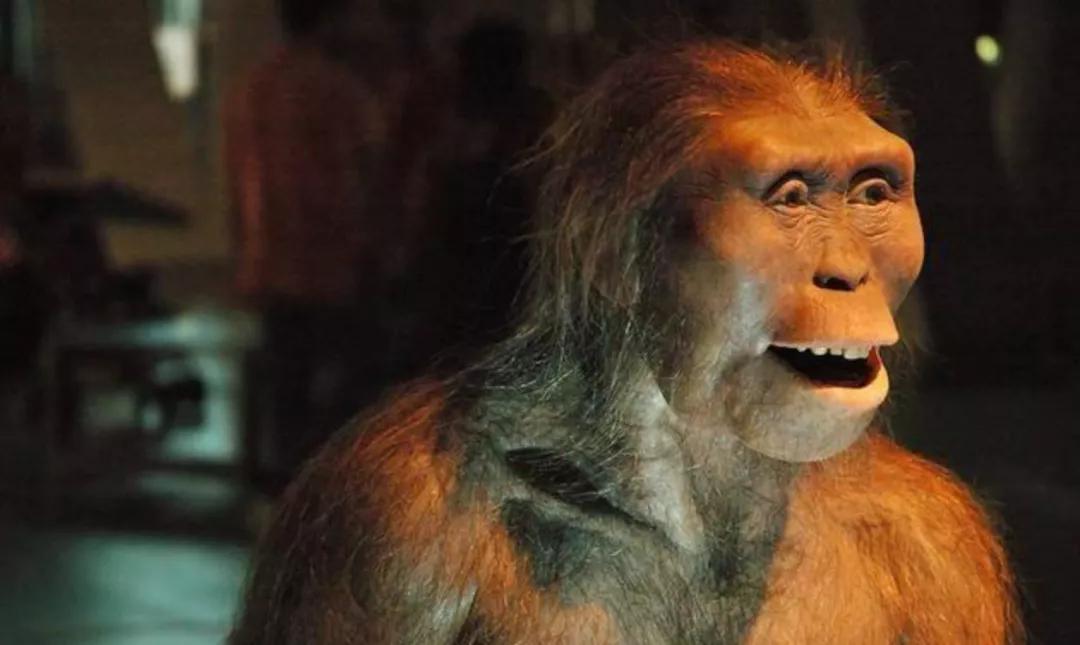 中国人祖先从哪来,中国人的祖先从哪来