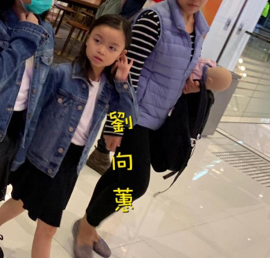 刘德华贴心小棉袄,刘德华照顾保姆的电影