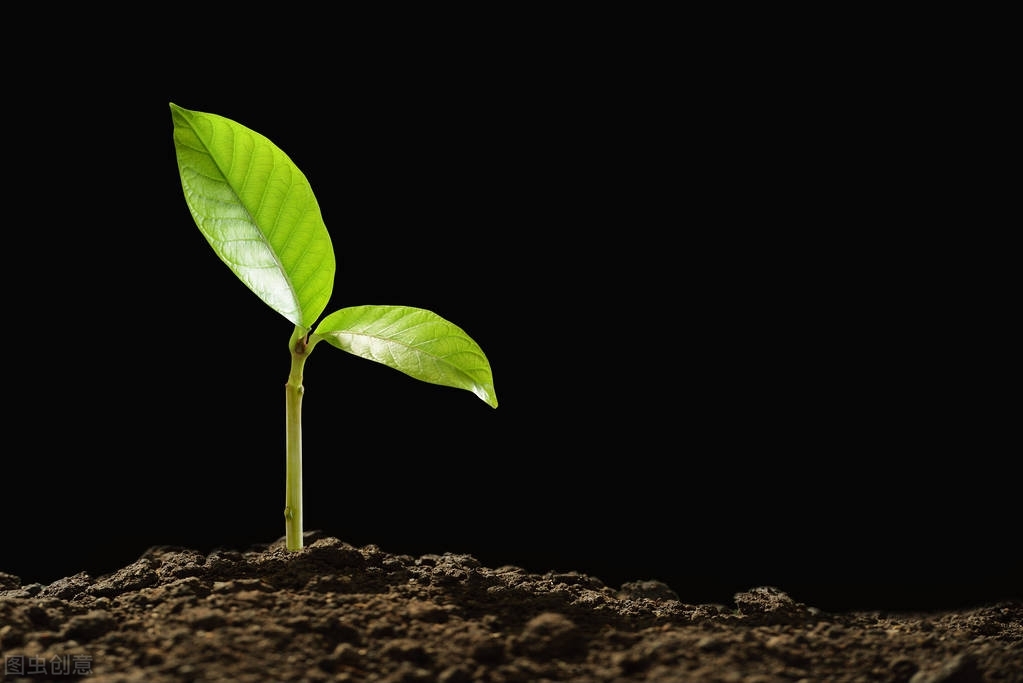 生化妊娠会多次发生吗,生化妊娠后都是病