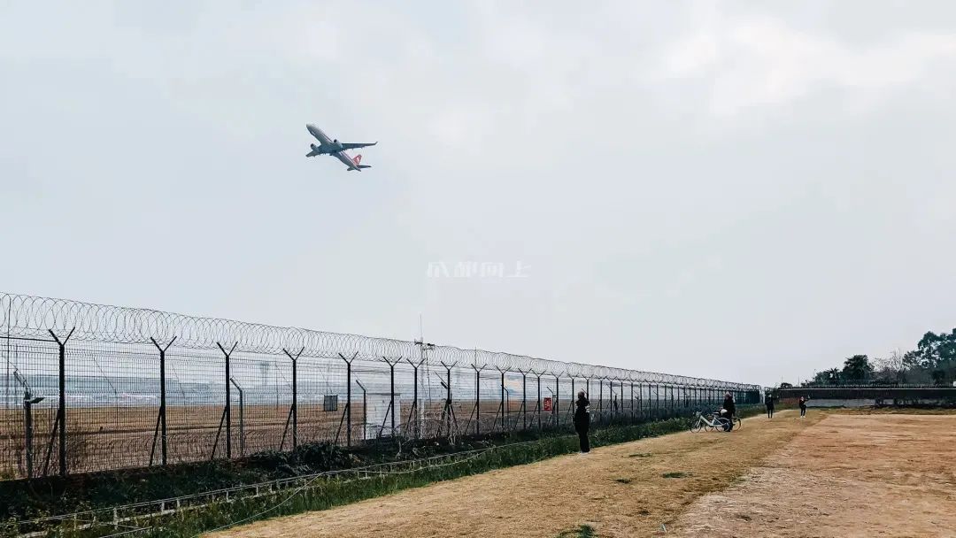 成都成华区城东体育公园,体育公园和大河口哪个值得玩