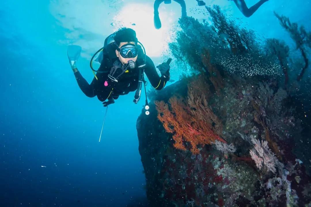 普吉岛和甲米旅游攻略,泰国苏梅岛普吉岛甲米哪个更好玩