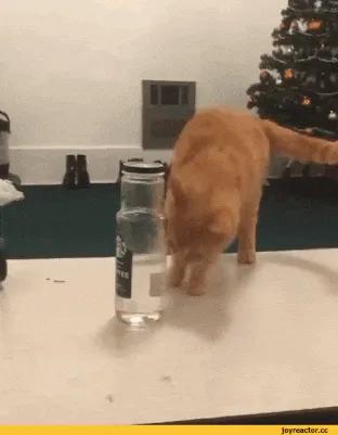 每日趣图精选一张,每日趣图全集