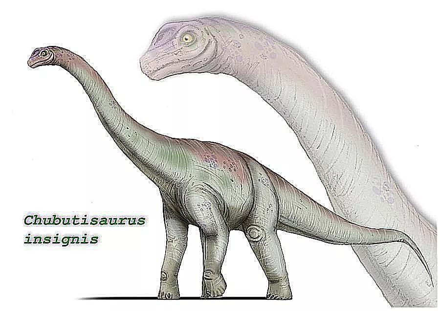 恐龙时代泰坦巨龙与雷龙,泰坦巨龙恐龙化石