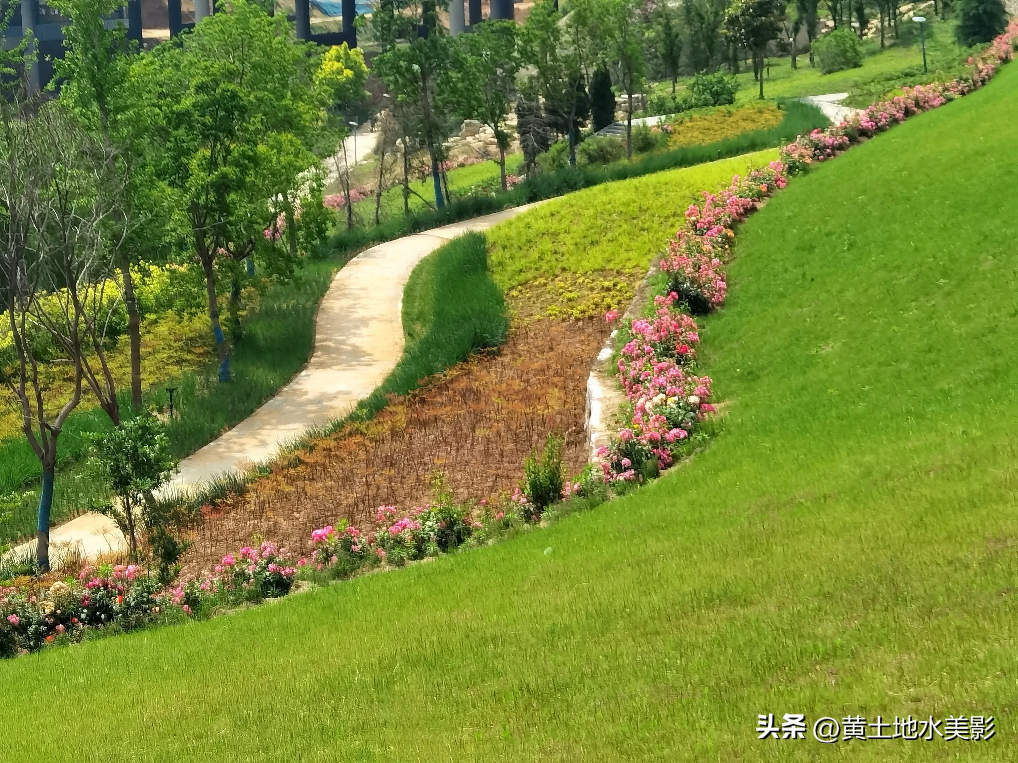 郑州象湖生态公园免费景点推荐,绿湖湿地公园河南