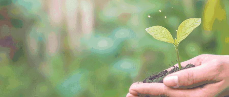 小米经营现状分析,小米公司近期经营战略