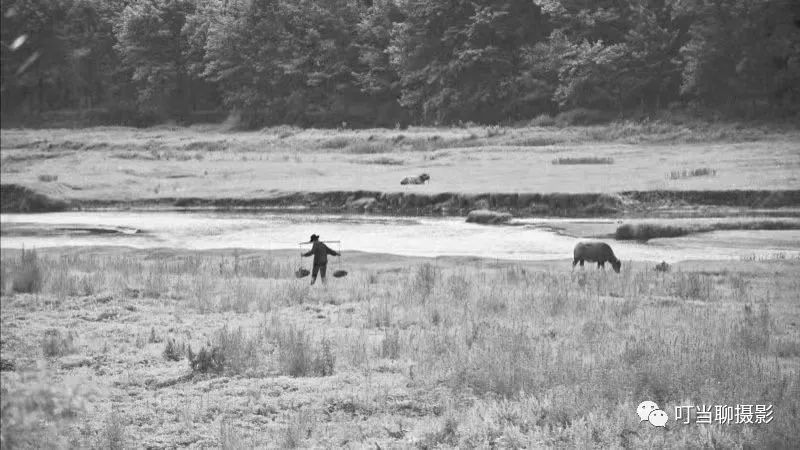 摄友照片,摄友照片点评