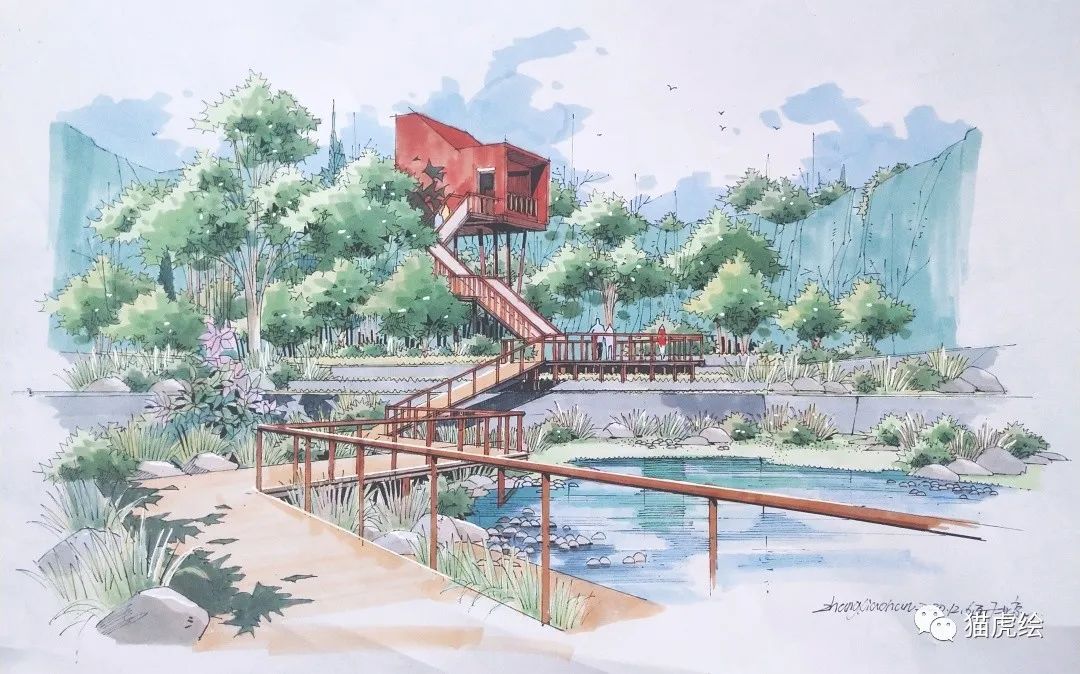 2022猫虎绘暑假手绘班招生简章「线上+线下」