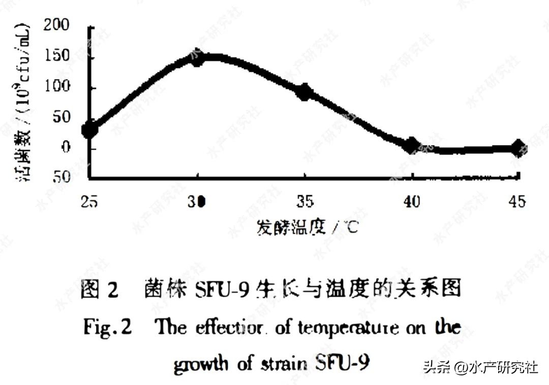 发酵芽孢杆菌需要多少温度,芽孢杆菌最佳发酵是开口还是封口