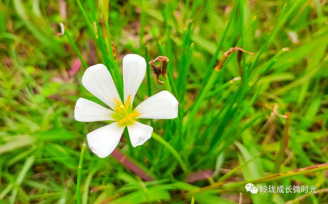 怼人的本事是这样练出来的,怼人都是门学问