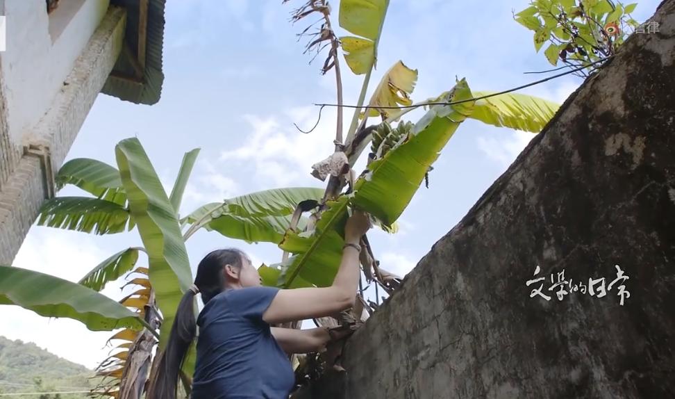 病人马面裙,马原医生