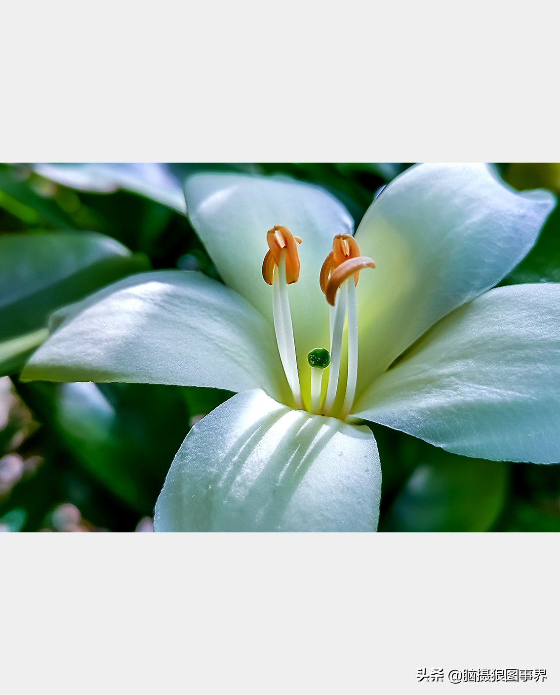 手机拍照不清晰怎么才能拍的好看,vivo手机拍照模糊怎样才能变清晰