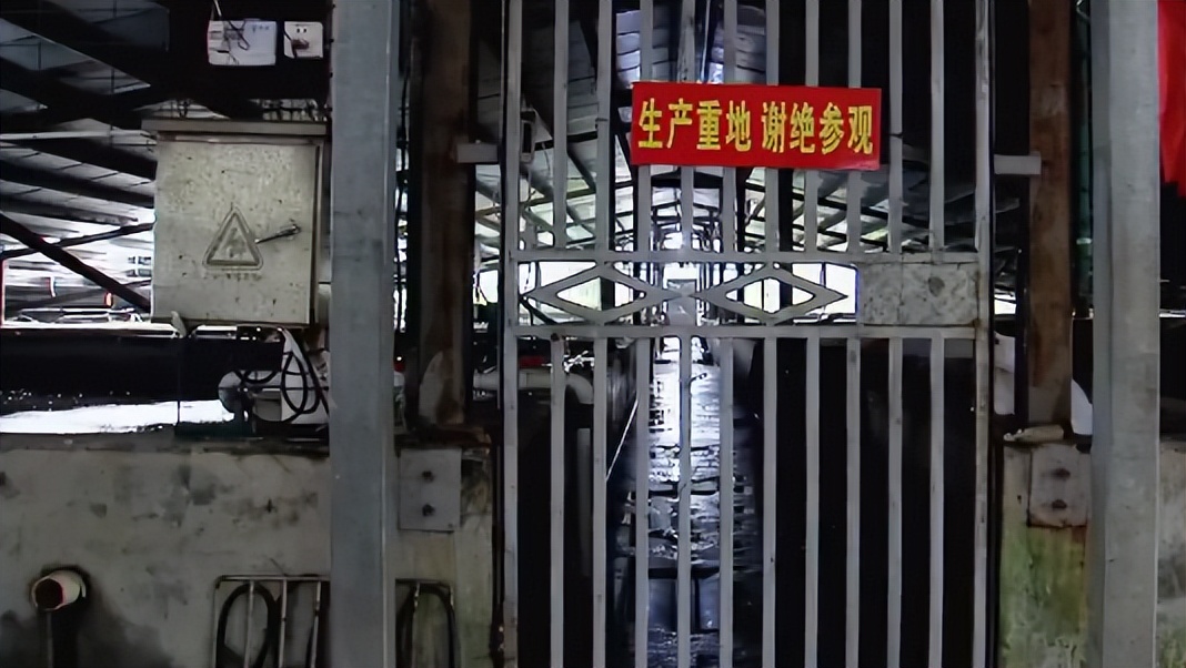 小伙养鱼一周赚100万,养鱼致富第二天目标赚十万