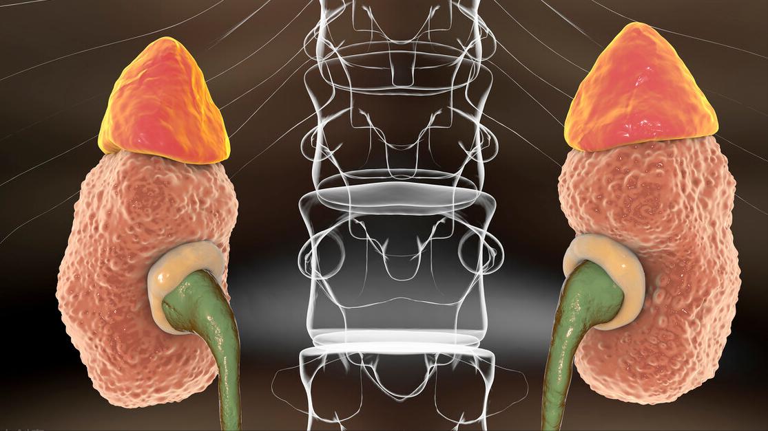 肾病引起高血压怎么治,肾病导致的高血压怎么办