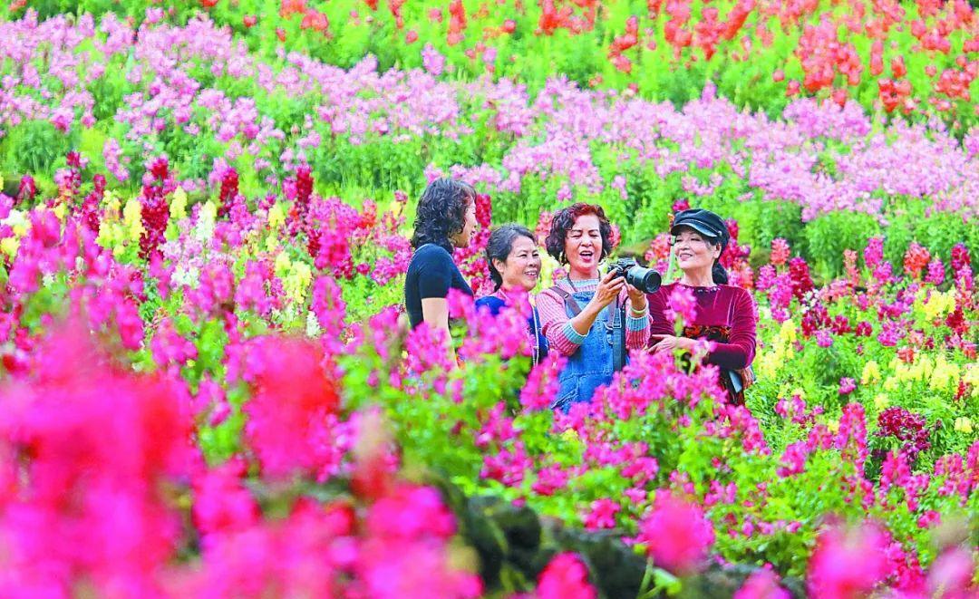 南宁青秀山最好观光点,南宁青秀山风景区现状分析