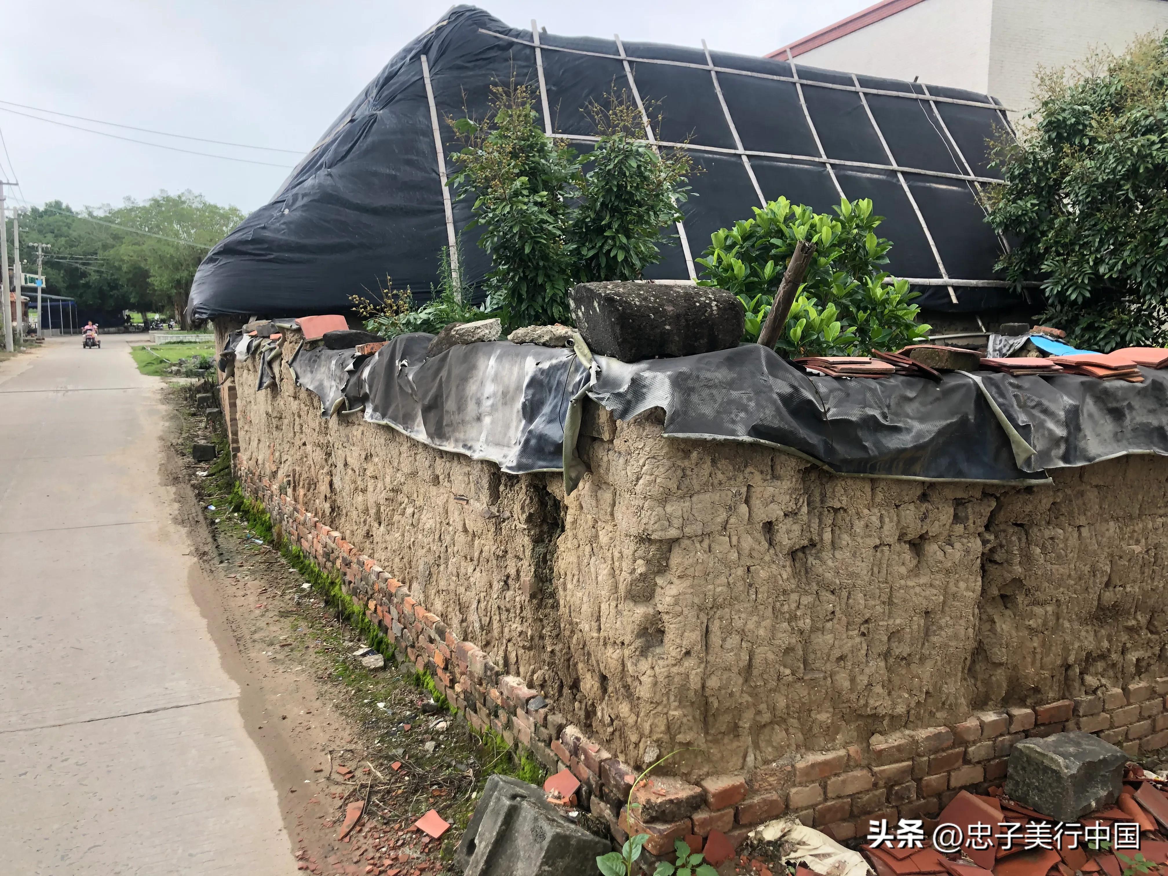 广东省雷州关于石狗的民间传说,雷州石狗简介