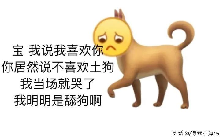 男人千万不要舔女人，否则真的很容易受伤害，现在知道还不晚。