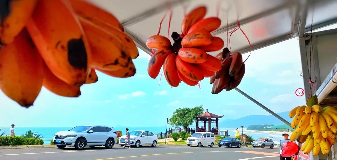 海南环岛自驾游6天住哪里,海南岛自驾性价比最高旅游攻略