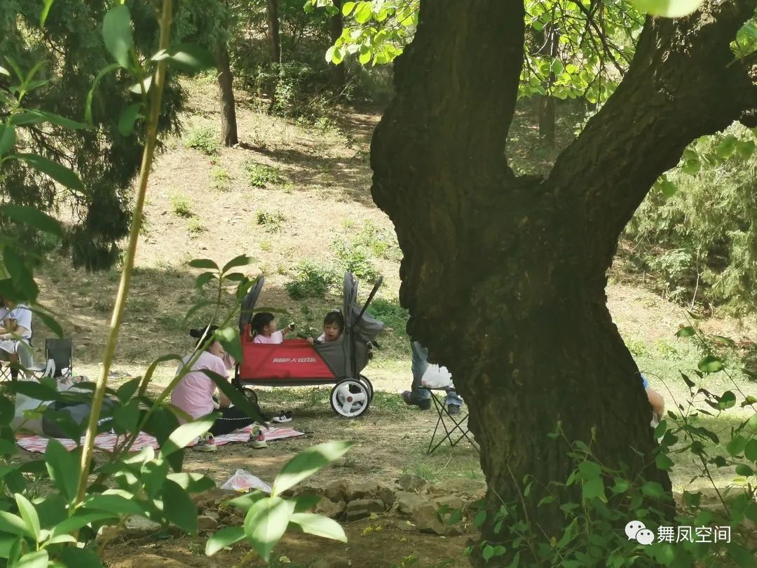 西山国家森林公园海拔,西山国家森林公园昆明