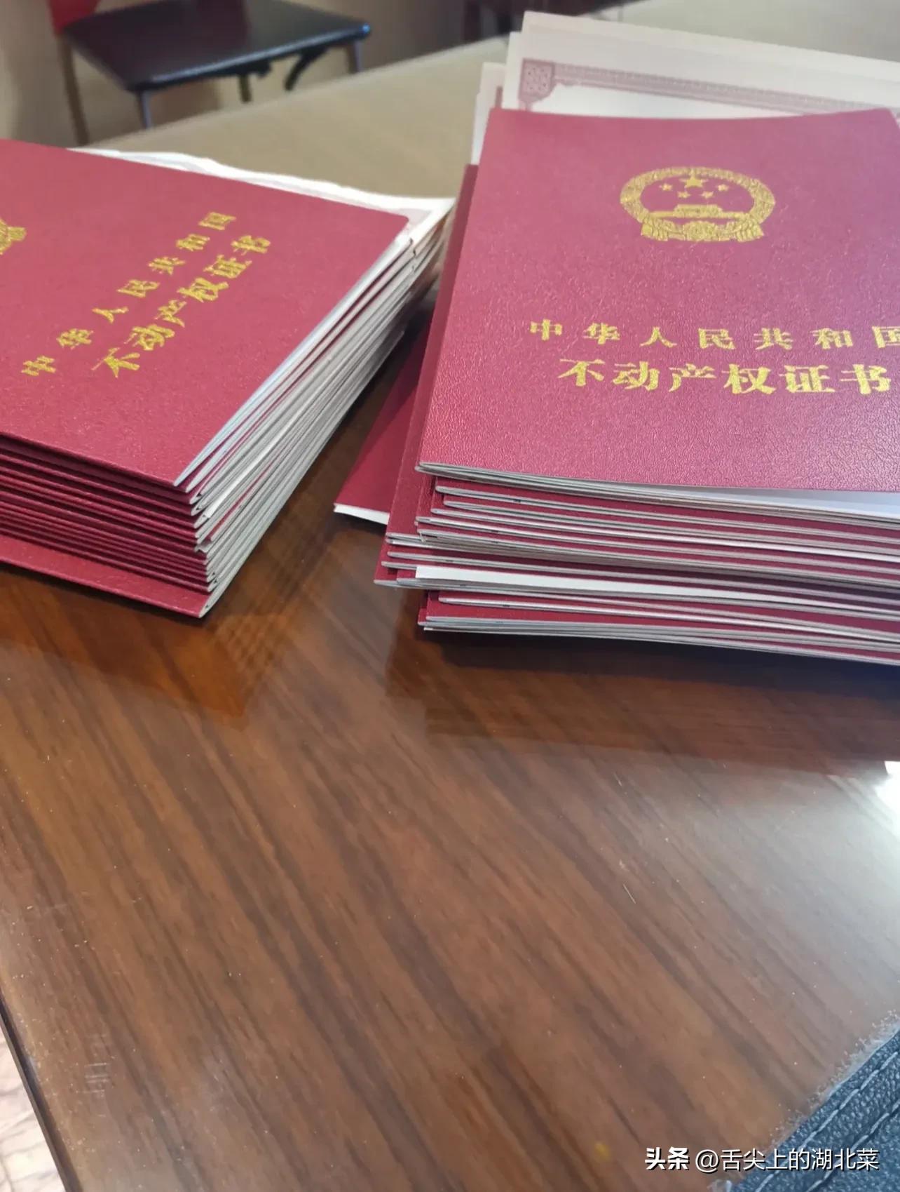 富婆几个亿送房送车倒追我，终于被感动了，30岁规划养老田园生活