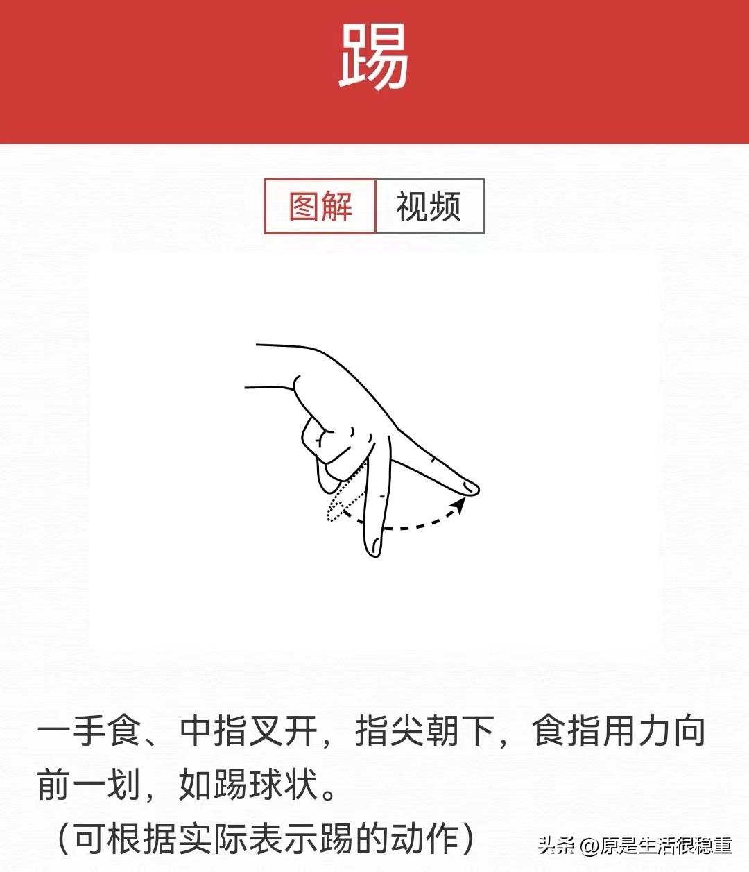 今日学习打卡——用手说话Part17