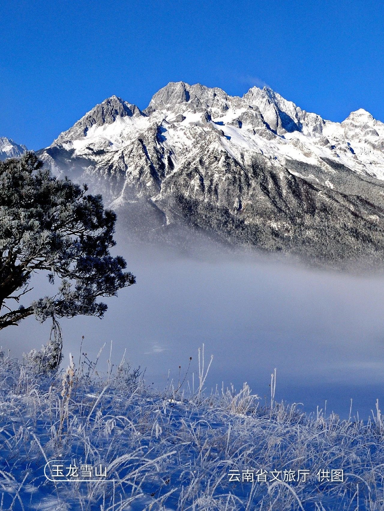 云南世界花园视频,云南世界花园